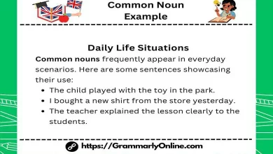 Examples of Common Nouns in Sentences