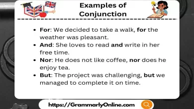 Examples of Conjunction in a Sentences