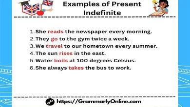 Examples of Present Indefinite Tense