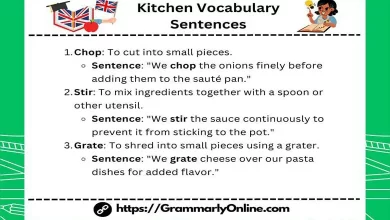 Kitchen Vocabulary Sentences In English