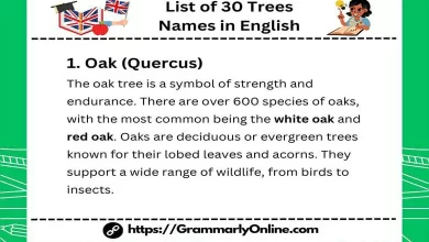 List of 30 Trees Names in English