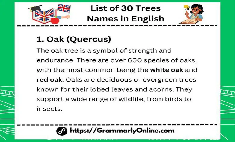 List of 30 Trees Names in English