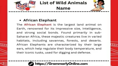 List of Wild Animals Name