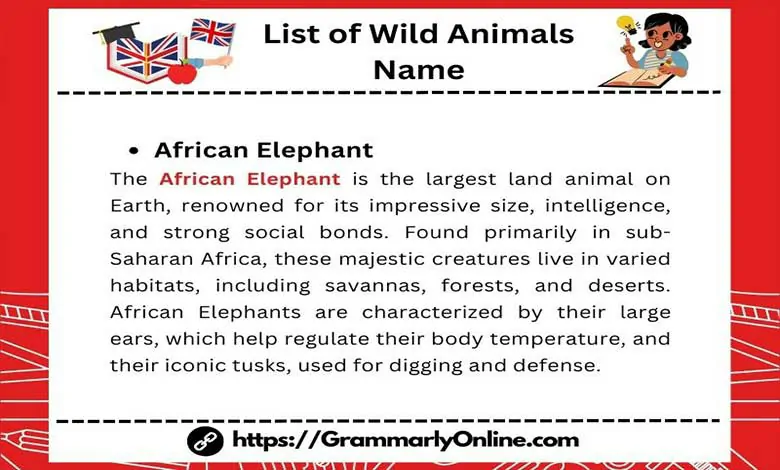 List of Wild Animals Name