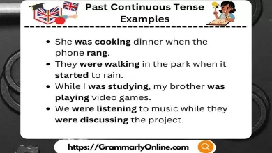 Past Continuous Tense Examples