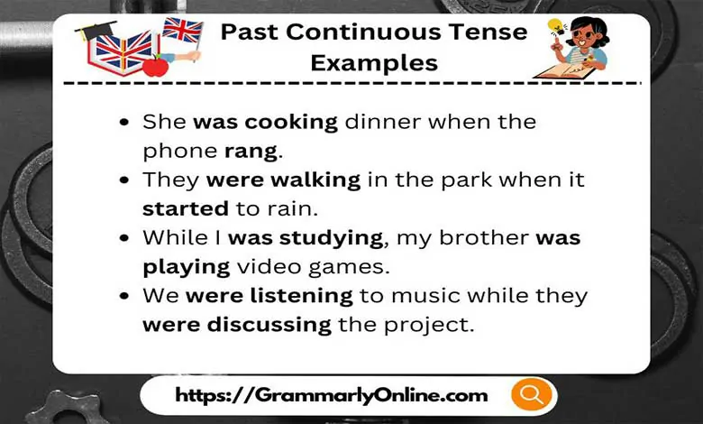 Past Continuous Tense Examples