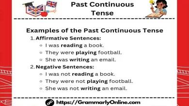 Past Continuous Tense Rules And Examples