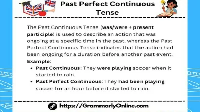 Past Perfect Continuous Tense: Rules & Examples