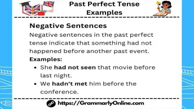 Past Perfect Tense Examples