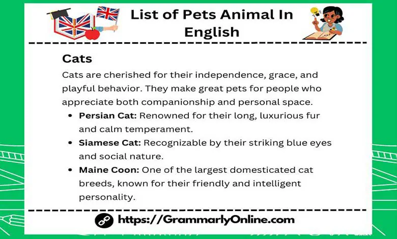 Pet Animals Name: List of Pets Animal In English