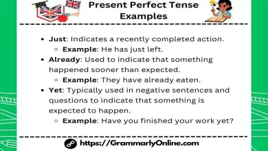 Present Perfect Tense Examples