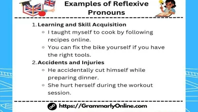 Reflexive Pronoun With Examples