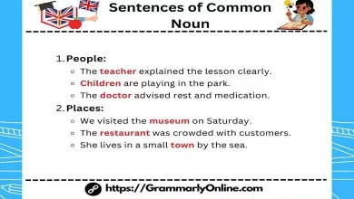 Sentences of Common Noun