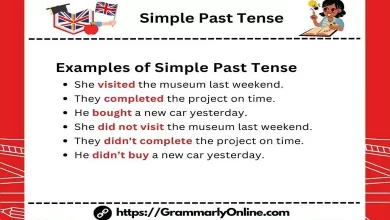 Simple Past Tense Examples