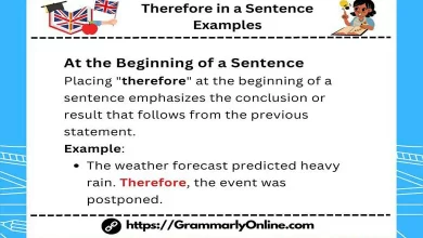 Use Therefore in a Sentence Examples