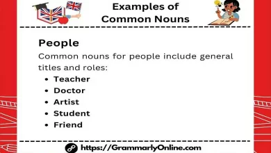 What is a common noun with examples