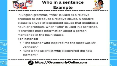 Who in a sentence Example